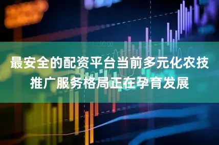 最安全的配资平台当前多元化农技推广服务格局正在孕育发展